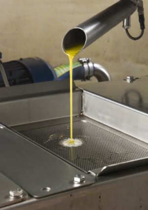 Torna la magia dell&rsquo;olio nuovo: bene Toscana e Liguria, meno olive in Puglia, proteste in Sicilia&nbsp;
