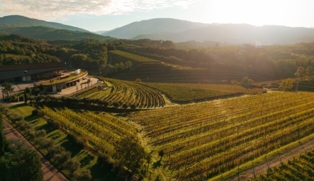 Un atto di fede nel futuro del vino: la nuova &ldquo;Cantina Viva&rdquo; by Zorzettig, in Friuli