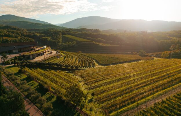 An act of faith in the future of wine: Zorzettig opens Cantina Viva in Friuli