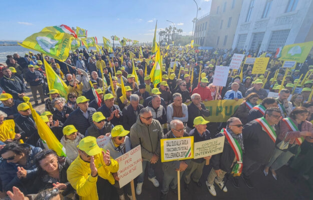 AGRICOLTORI, AGRICOLTURA, COSTI DI PRODUZIONE, OLIO EXTRAVERGINE DI OLIVA, PROTESTE, REGIONE PUGLIA, Non Solo Vino