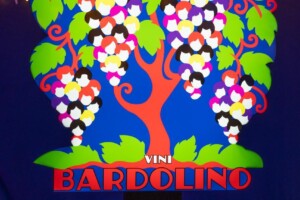 Un secolo di storia, ma lo sguardo al futuro, nel segno dell&rsquo;anima &ldquo;pop&rdquo; di Bardolino e Chiaretto