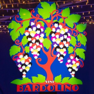 Un secolo di storia, ma lo sguardo al futuro, nel segno dell&rsquo;anima &ldquo;pop&rdquo; di Bardolino e Chiaretto