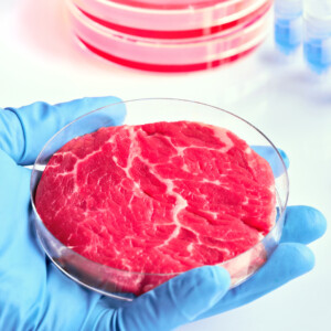 L&rsquo;Universit&agrave; Cattolica &ldquo;boccia&rdquo; latte sintetico e carne coltivata: hanno rese basse e costi elevati
