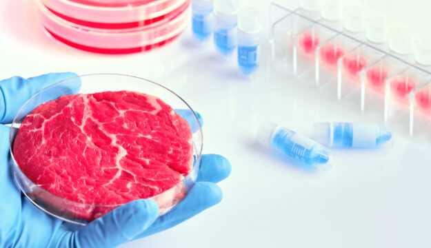 L&rsquo;Universit&agrave; Cattolica &ldquo;boccia&rdquo; latte sintetico e carne coltivata: hanno rese basse e costi elevati