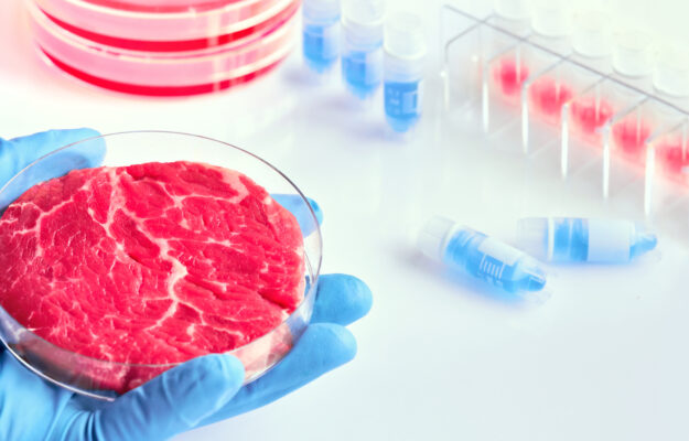 AFIDOP, Carne coltivata, CIBO SINTETICO, FRANCESCO LOLL, LATTE SINTETICO, MINISTRO DELL'AGRICOLTURA, UNIVERSITÀ CATTOLICA, Non Solo Vino