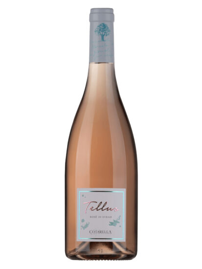 Su i Vini di WineNews