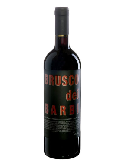 Su i Vini di WineNews
