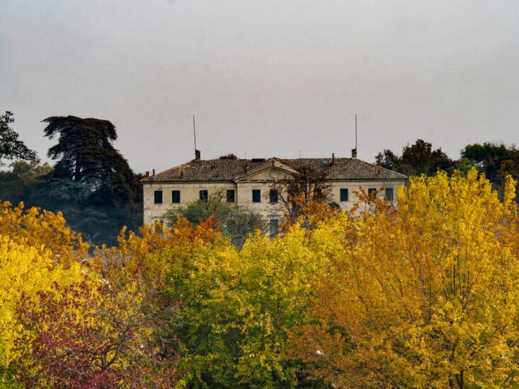 Camminate nel foliage del bosco, visite ai Musei del Cibo e degustazioni nelle Valli di Parma
