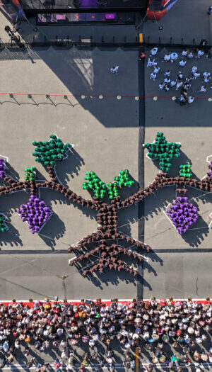 La &ldquo;pi&ugrave; grande immagine umana di una vite&rdquo; da Guinness World Records realizzata in Moldova