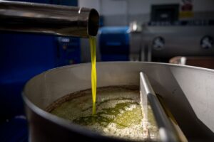 Da Ismea 40 milioni di euro all&rsquo;olio italiano, in finanziamenti a tasso zero per i frantoi
