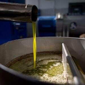 Da Ismea 40 milioni di euro all&rsquo;olio italiano, in finanziamenti a tasso zero per i frantoi