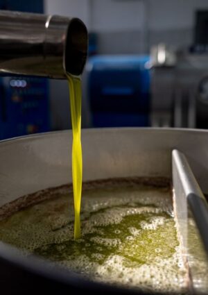 Da Ismea 40 milioni di euro all&rsquo;olio italiano, in finanziamenti a tasso zero per i frantoi