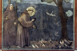 San Francesco e l&rsquo;amore per nostra Madre Terra che nutre corpo ed anima con la bellezza