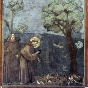 San Francesco e l&rsquo;amore per nostra Madre Terra che nutre corpo ed anima con la bellezza