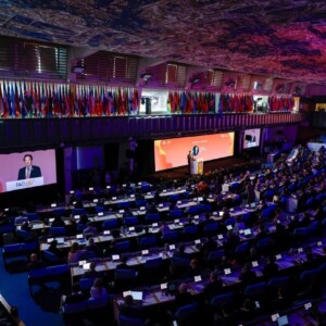 Fao, mobilitare risorse senza precedenti per i sistemi agroalimentari: 20 miliardi di dollari