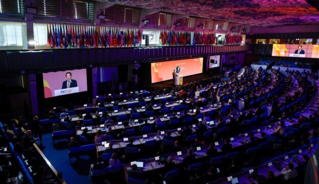 Fao, mobilitare risorse senza precedenti per i sistemi agroalimentari: 20 miliardi di dollari