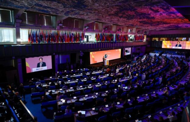 FAO, RISORSE, SISTEMI AGROALIMENTARI, WORLD FOOD FORUM, Non Solo Vino