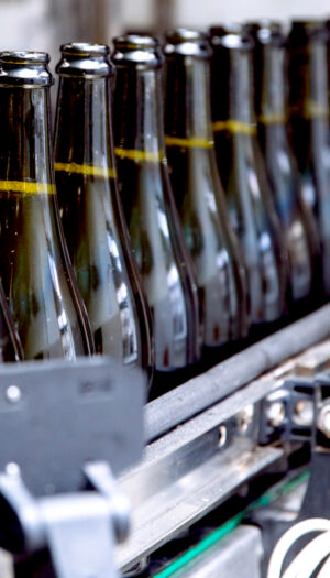 Vino, imbottigliamenti di bianchi e spumanti Dop in linea con il 2025, soffrono Igp e rossi