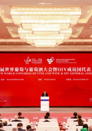 Il futuro del vino mondiale si scrive in Cina, nel Congresso Oiv n. 47, a Yinchuan, nel Ningxia