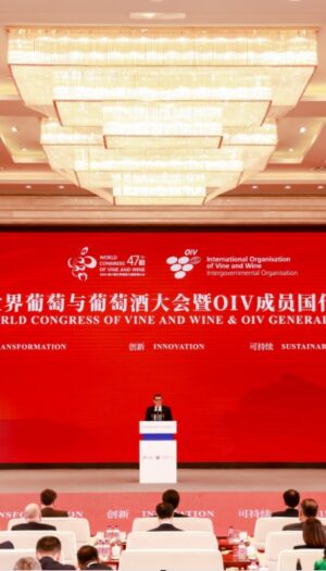 Il futuro del vino mondiale si scrive in Cina, nel Congresso Oiv n. 47, a Yinchuan, nel Ningxia