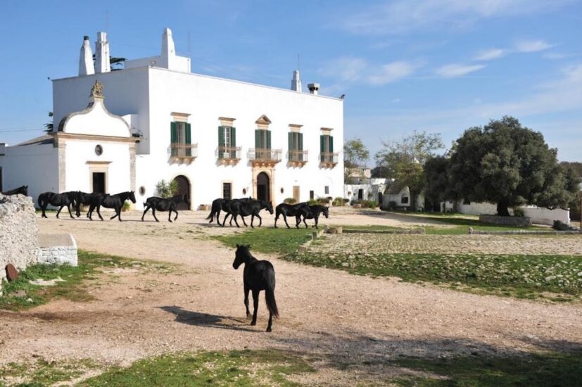 Masseria Tagliente - Puglia 