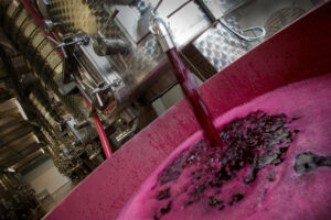 Tra vino e mosti, in Italia al 30 settembre 2026, 62 milioni di ettolitri di &ldquo;scorte liquide&rdquo;