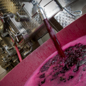 Tra vino e mosti, in Italia al 30 settembre 2026, 62 milioni di ettolitri di &ldquo;scorte liquide&rdquo;