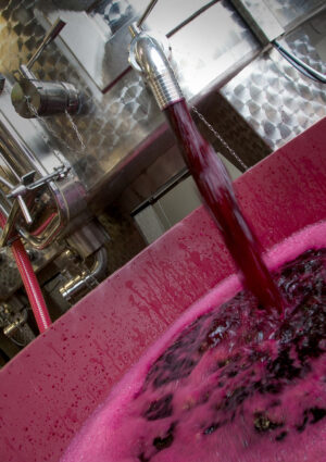 Tra vino e mosti, in Italia al 30 settembre 2026, 62 milioni di ettolitri di &ldquo;scorte liquide&rdquo;