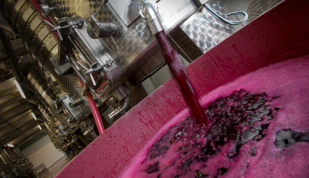 Tra vino e mosti, in Italia al 30 settembre 2026, 62 milioni di ettolitri di &ldquo;scorte liquide&rdquo;