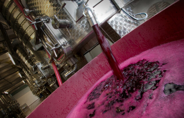 CANTINA ITALIA, GIACENZE, ICQRF, VENDEMMIA 2026, Italia