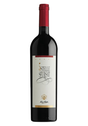 Nino Negri, Docg Sforzato della Valtellina 5 Stelle Sfursat 2016