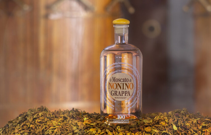 GRAPPA, MOSCATO, NONINO, PAVIA DI UDINE, La dispensa, Su i Vini di WineNews