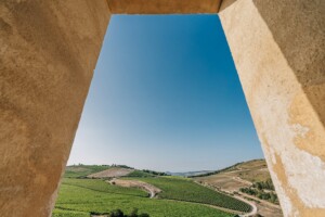 In Italia si celebra la prima &ldquo;Giornata del Paesaggio Vitivinicolo Italiano&rdquo;, un patrimonio vivo