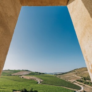 In Italia si celebra la prima &ldquo;Giornata del Paesaggio Vitivinicolo Italiano&rdquo;, un patrimonio vivo