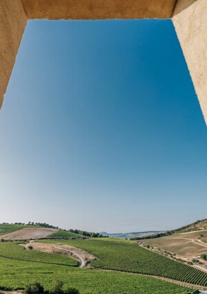 In Italia si celebra la prima &ldquo;Giornata del Paesaggio Vitivinicolo Italiano&rdquo;, un patrimonio vivo