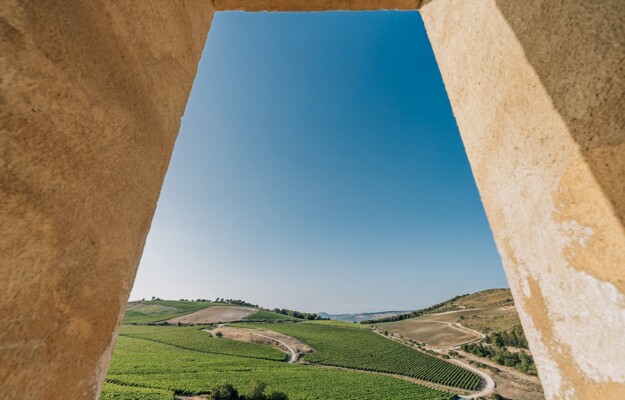 CONVENZIONE EUROPEA DEL PAESAGGIO, GIORNATA DEL PAESAGGIO VITIVINICOLO ITALIANO, ITER VITIS, METODO CONTEMPORANEO, PAESAGGIO, PAESAGGIO VITIVINICOLO, Italia