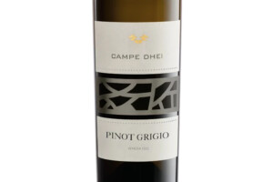 Ponte 1948, Doc Venezia Pinot Grigio Campe Dhei 2025