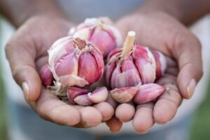 Terra Madre 2026: i Pres&igrave;di Slow Food. Cos&igrave; gli artigiani del gusto custodiscono la biodiversit&agrave;