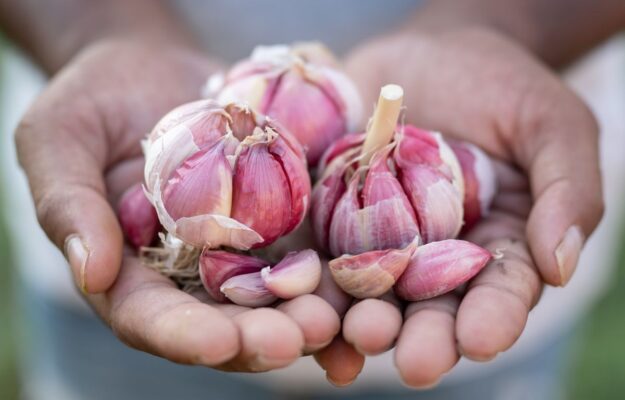 Terra Madre 2026: i Pres&igrave;di Slow Food. Cos&igrave; gli artigiani del gusto custodiscono la biodiversit&agrave;