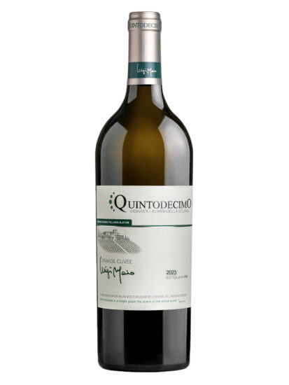 Su i Vini di WineNews