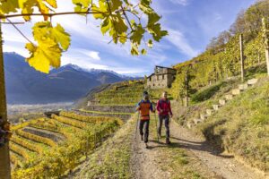 L&rsquo;arte dei muretti a secco, riconosciuta dall&rsquo;Unesco, il &ldquo;segreto&rdquo; dei vigneti eroici in Valtellina
