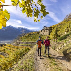 L&rsquo;arte dei muretti a secco, riconosciuta dall&rsquo;Unesco, il &ldquo;segreto&rdquo; dei vigneti eroici in Valtellina