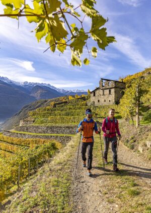 L&rsquo;arte dei muretti a secco, riconosciuta dall&rsquo;Unesco, il &ldquo;segreto&rdquo; dei vigneti eroici in Valtellina