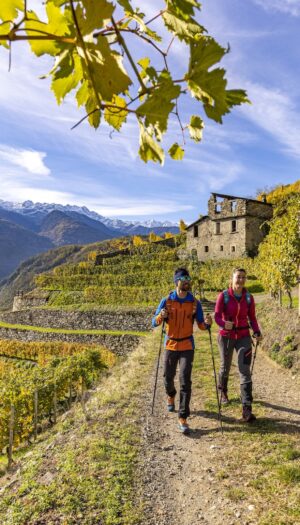 L&rsquo;arte dei muretti a secco, riconosciuta dall&rsquo;Unesco, il &ldquo;segreto&rdquo; dei vigneti eroici in Valtellina