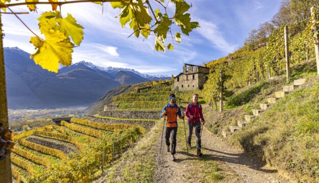 L&rsquo;arte dei muretti a secco, riconosciuta dall&rsquo;Unesco, il &ldquo;segreto&rdquo; dei vigneti eroici in Valtellina