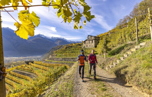 ALPINISMO, MURETTI A SECCO, NEBBIOLO DELLE ALPI, SFORZATO, TRANSUMANZA, UNESCO, VALTELLINA, VITICOLTURA EROICA, Italia