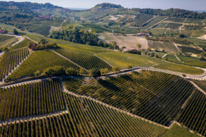 &ldquo;Festa del Barolo&rdquo; 2027: a New York (27-30 gennaio) il tributo al Nebbiolo firmato Antonio Galloni