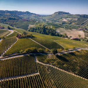 &ldquo;Festa del Barolo&rdquo; 2027: a New York (27-30 gennaio) il tributo al Nebbiolo firmato Antonio Galloni