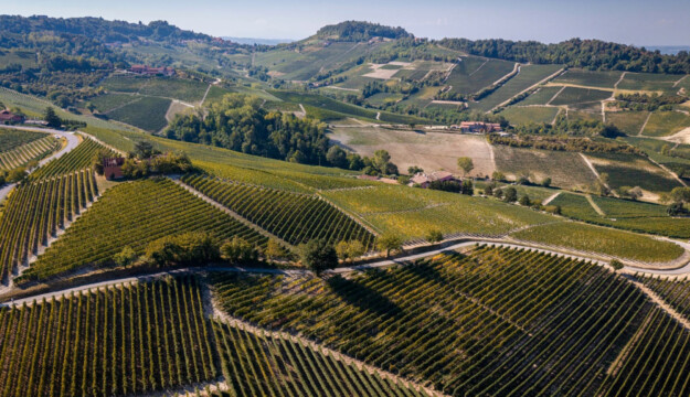 &ldquo;Festa del Barolo&rdquo; 2027: a New York (27-30 gennaio) il tributo al Nebbiolo firmato Antonio Galloni