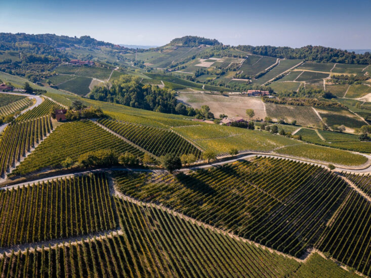La Vigna Colonnello di Prunotto, la cantina di Antinori nelle Langhe (ph: Facebook/Prunotto)